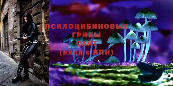 гидра Армянск