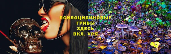 гидра Армянск
