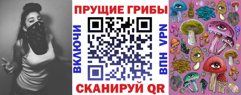 Псилоцибиновые грибы Psilocybine cubensis omg рабочий сайт Хвалынск